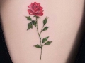 tatuaggio rosa piccolo