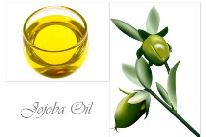olio di jojoba