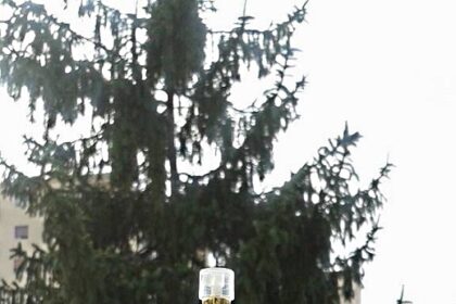 Profumo per capelli della Firstline Pofessional