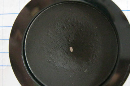Ombretto in cialda Black Sheep di Neve Cosmetics