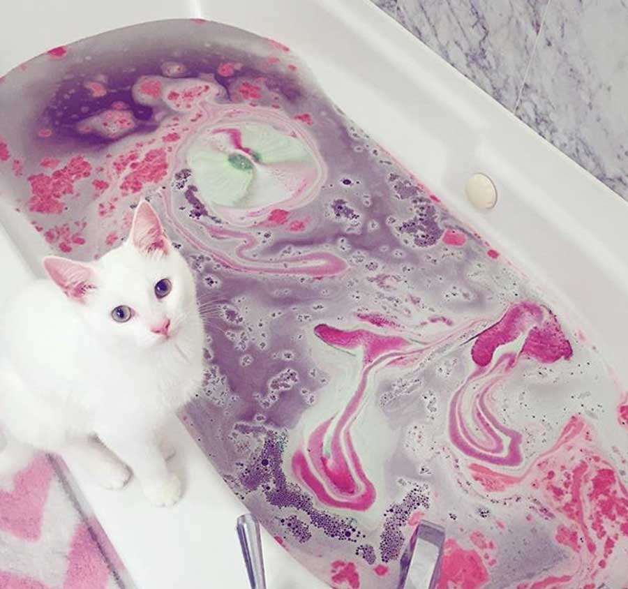 Lush no test animali