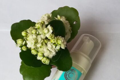 Mousse Detergente Struccante Viso di Natura Siberica