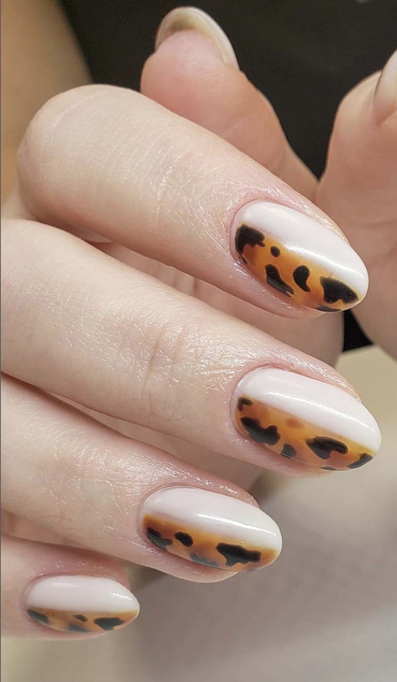 Unhas de tartaruga ou animal quebradas por outra cor