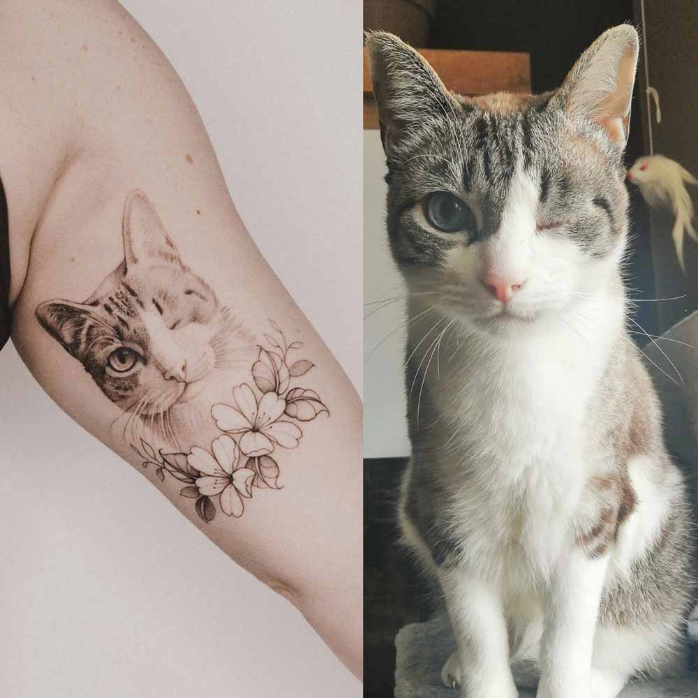 Esempio di gatto reale tatuato