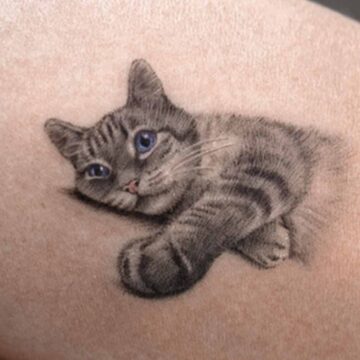 Tatuaggio gatto semplice che sfuma