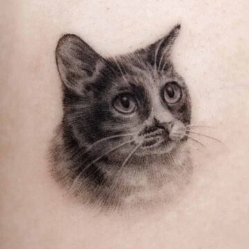 Tatuaggio gatto semplice che sfuma sulla pelle