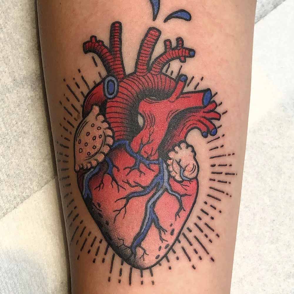 Tatuaggi cuore anatomico colorato Tatuaggi cuore anatomico colorato