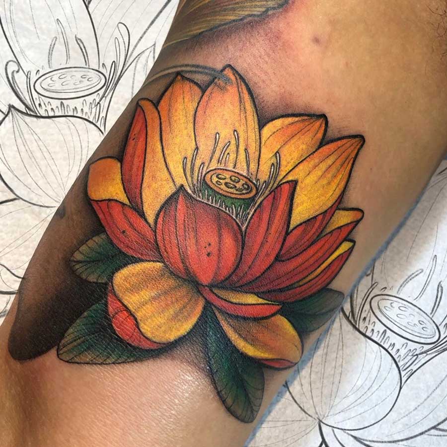 fiore di Loto grande rosse e giallo